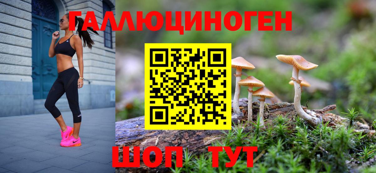 Трёхгорный  Псилоцибиновые грибы мицелий  купить наркотики сайты  Вход с VPN 