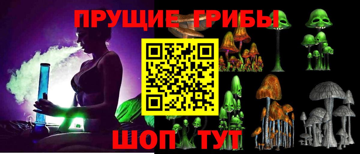 Псилоцибиновые грибы GOLDEN TEACHER Трёхгорный
